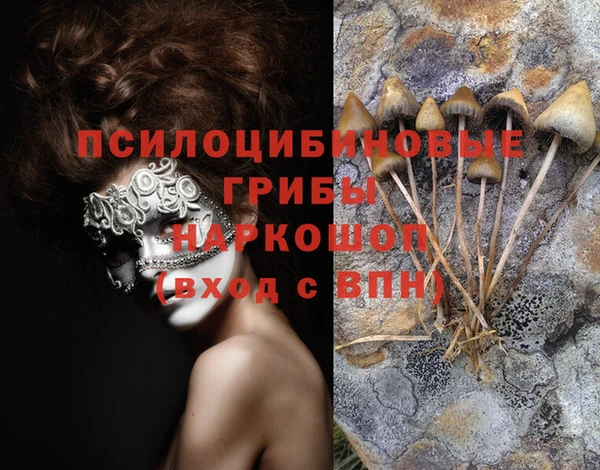 сатива Краснослободск