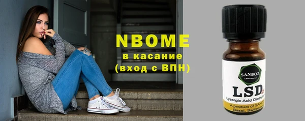 сатива Краснослободск